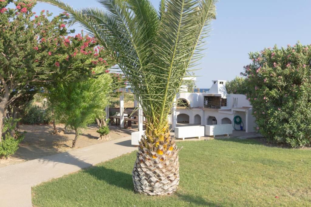 Renes Paradise Seahome - Afandou Beach, Rhodes Колимбия Екстериор снимка